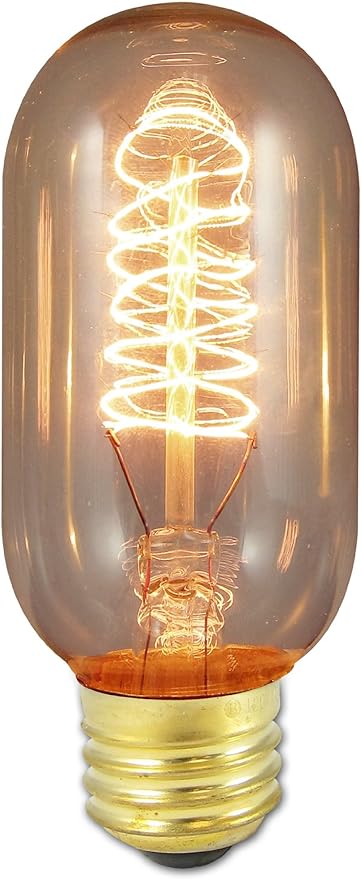Bulbrite Incandescent T45 Medium Screw Base Light Bulb, 40 Watt,