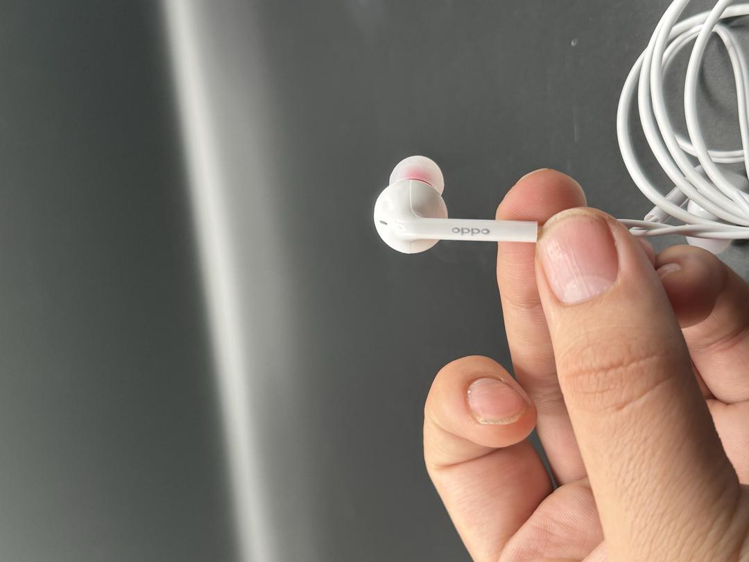 Wired Type-C Earphones with Mic In-Ear Design & Volume Control |