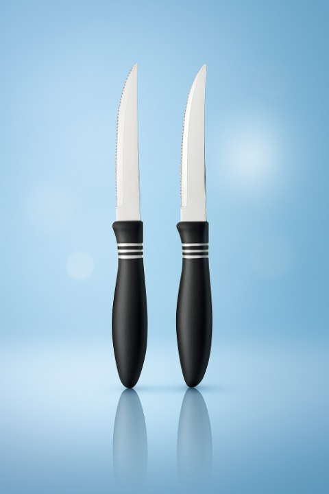 2 Pcs Concord Stainless Steel Kitchen Knife Multipurpose Table Knife with