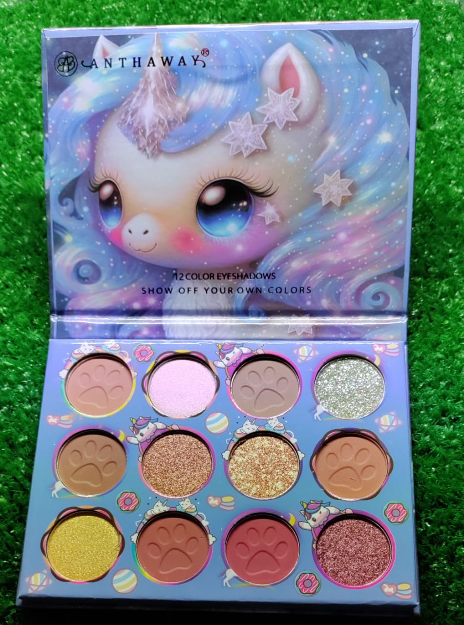 12 Color Rainbow Eyeshadow Pallette , Matte and Shimmery eye palette eye