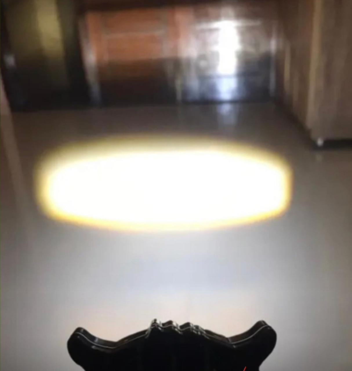 OWL Shape Fog Flash light Low & High Beam Owl Plastic Body