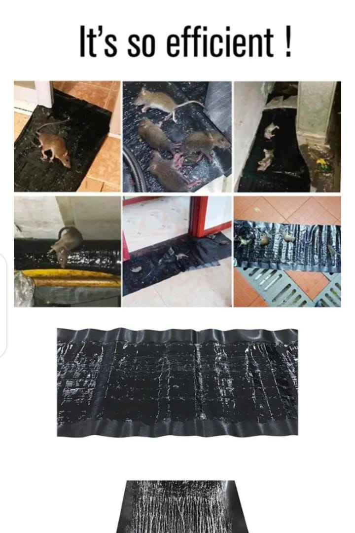 Effective Rat and Mouse Glue Mat Trap - 120x28cm Sticky Rodent Catcher