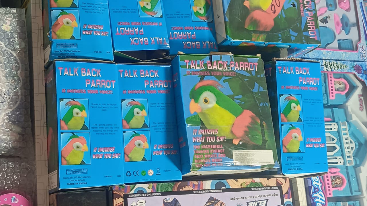 Talk Back Talking Parrot Toy Repeats Speech, Educational & Fun for
