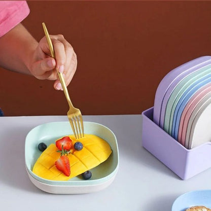 Combo Deal - 4 Section Spice Container Box &amp; Multi-function Spit Bone