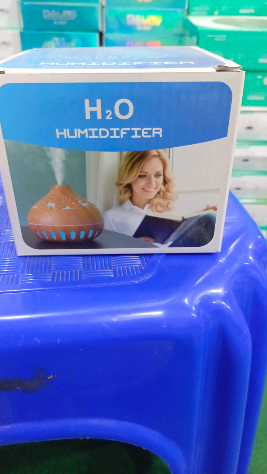 H20 LEAF HUMIDIFIER (Random Color)