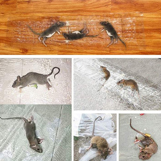 120 X 28cm Invisible And Transparent Rat Killing Magic Carpet Rodents Moles