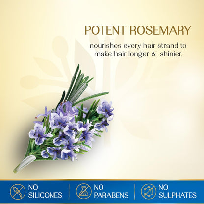 Herbs India 7 Seed Hair Oil with Rosemary - 280 ml |