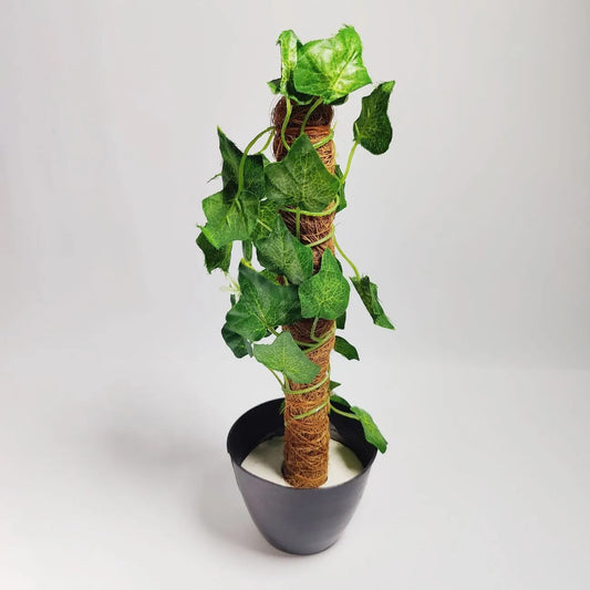 Artificial Money Plant leave with Coconut stick Decorative Flowers Plants best for