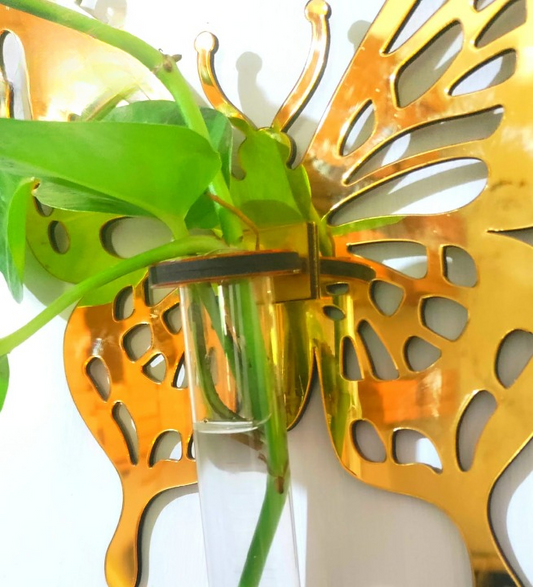 Title: Butterfly Propagation Station Elegant Display for Plant Cuttings