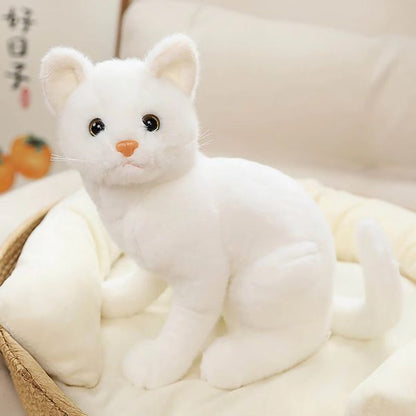 The Real Cat 30cm Stuff / Plush Toy | Cat Stuffed Animals,