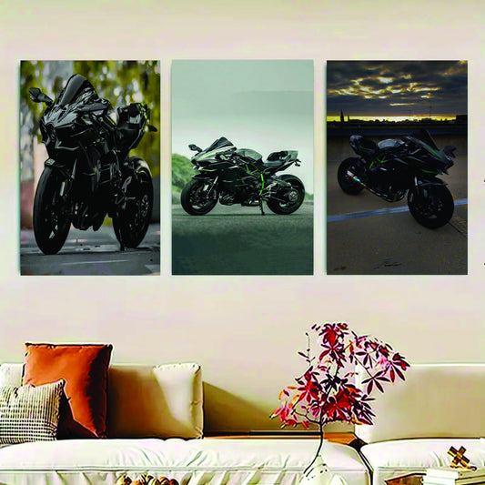 Set Of 3 Ninja H2R bike Sticky Canvas Frames For Wall Decore