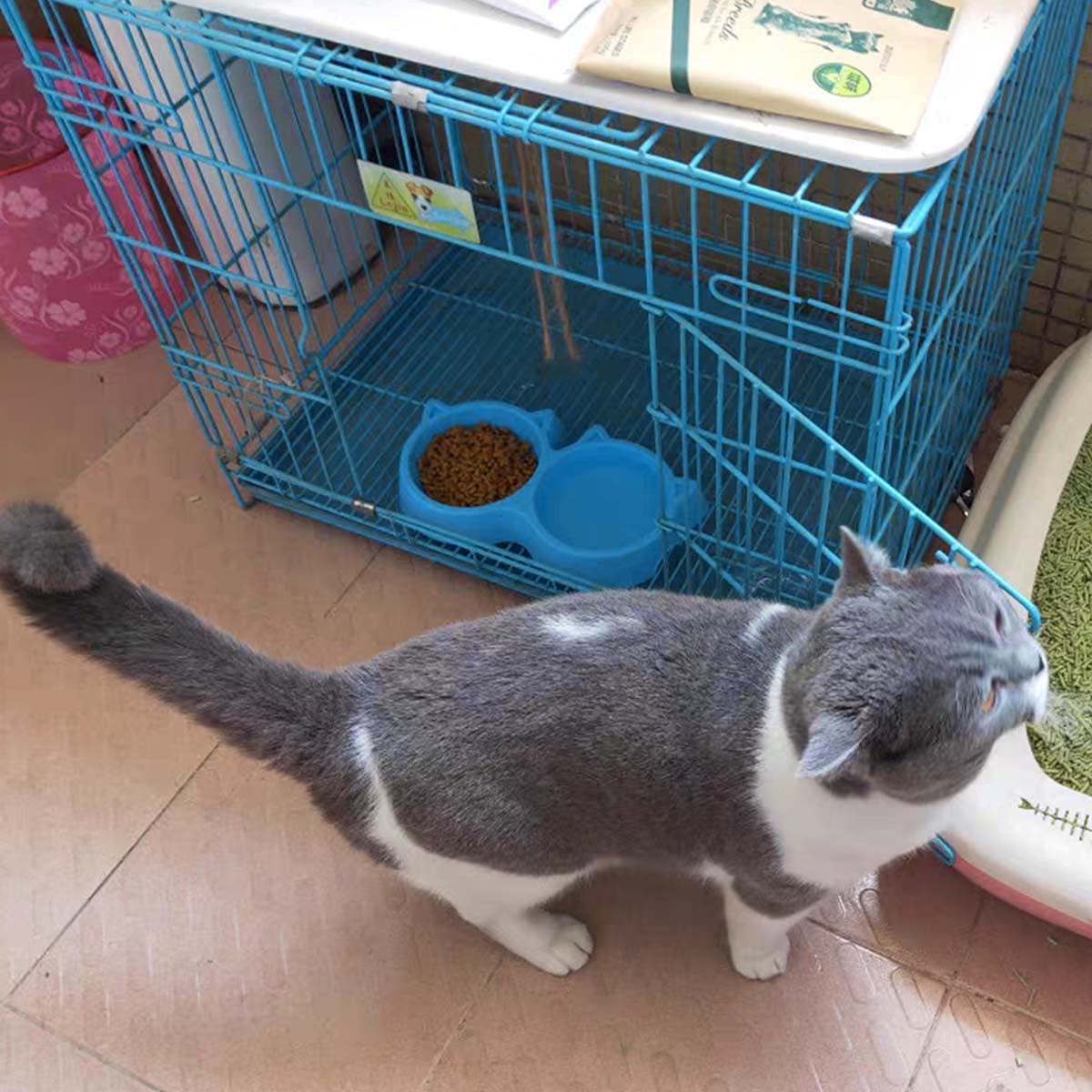 Cat Shaped Double food bowl Pet Plastic food bowl (Random Color)