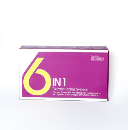 6 in 1 Derma Roller System