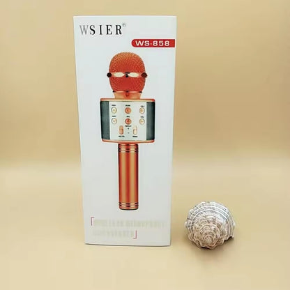 Microphone Loud Speaker for Speech Good for Kids &amp; Students (random color)Ws-858