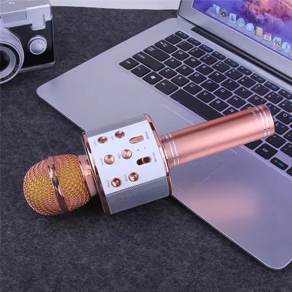 Microphone Loud Speaker for Speech Good for Kids &amp; Students (random color)Ws-858