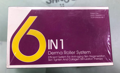 6 in 1 Derma Roller System