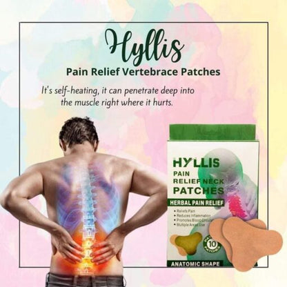 HYLLIS Pain Relief Patches - 10 Neck Pain Patches / Safe &amp;