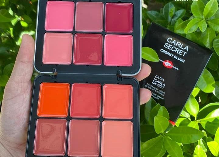 12 in 1 creamy blush lipstick palette