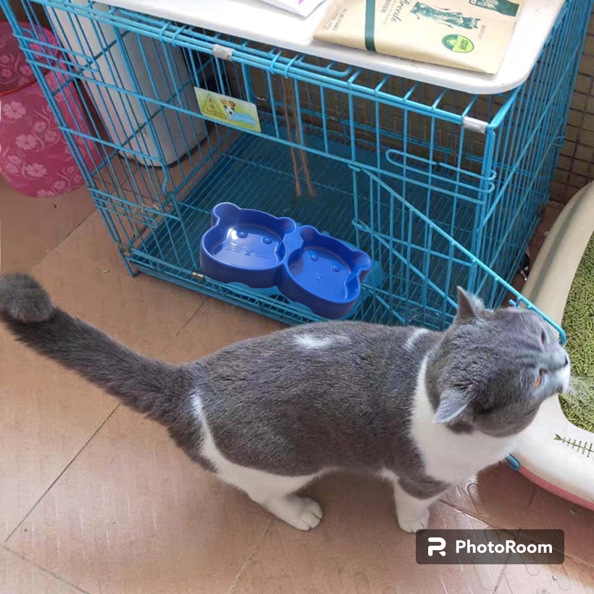 Cat Shaped Double food bowl Pet Plastic food bowl (Random Color)