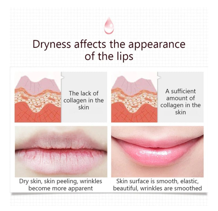 BIOAQUA Lip Care Jelly Lip Sleeping Mask - 20gm