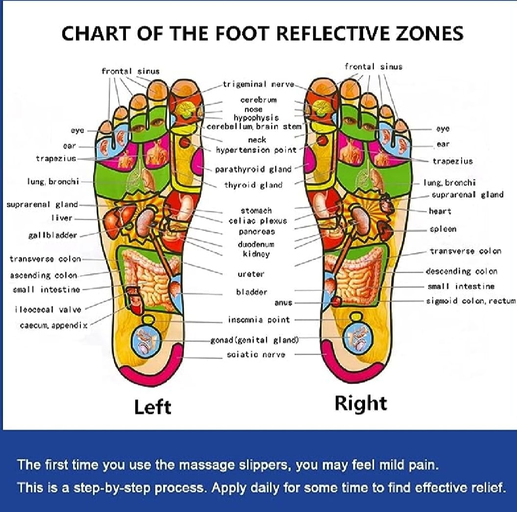 Blueidea Acupressure Massage Slippers for Sugar Patients Foot Therapy Reflexology Sandals