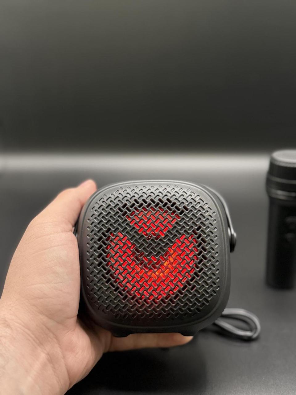 GREATNICE WIRELESS SPEAKER PORTABLE MICROPHONE BIG SOUND VOICE CHANGER MIC HD SOUND