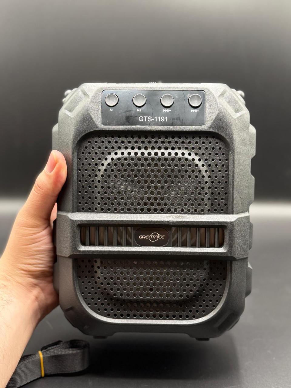 GTS-1191 10W Wireless Portable Bluetooth Speaker with 6.5" Subwoofer, FM Radio, 1200mAh