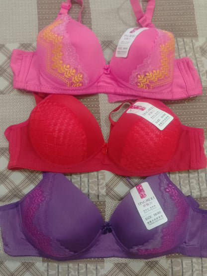 Silk Embroidered Padded Bra for Women Luxury Undergarment with Soft Silk - CheckNpays