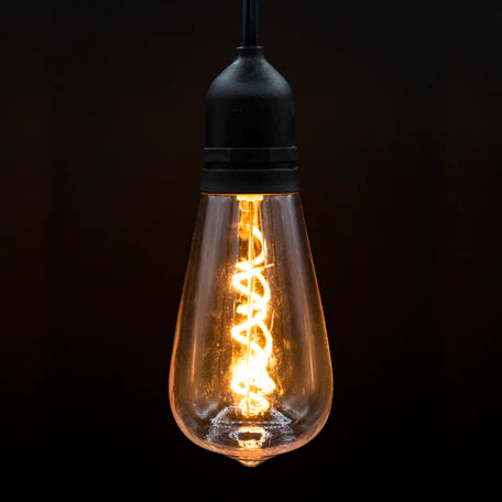 Indoor/Outdoor Plug-in LED String Light, w/ ST64 - Novelty Bulbs, Black -