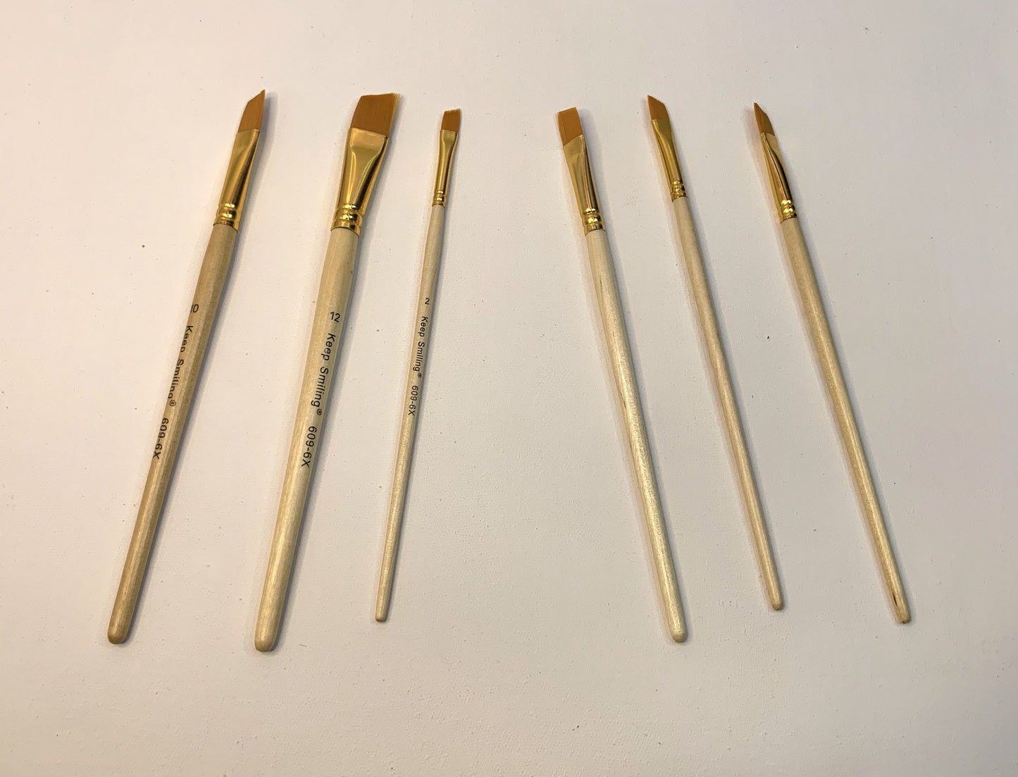 Pack of 6 Professional Angular Brush Set for Artists Wooden Handle