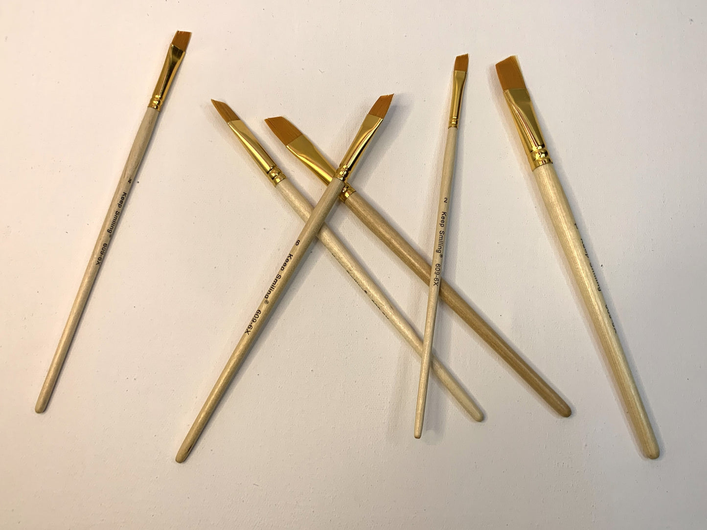 Pack of 6 Professional Angular Brush Set for Artists Wooden Handle